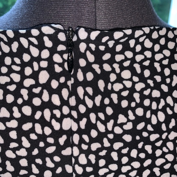 Jones Studio by Dress Barn black and white dress - Picture 9 of 9